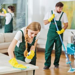 Cleaning Services