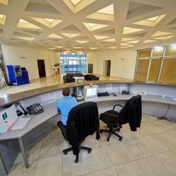 Corporate Security Services